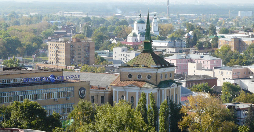 Сколько новых организаций в Курской области