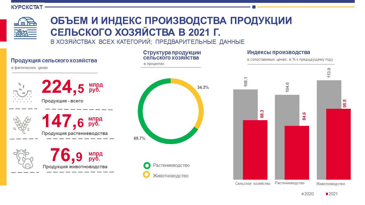 Сельская статистика. Инфографика статистика. Росстат инфографика. День статистики инфографика. Инфографика Росстата продукция.