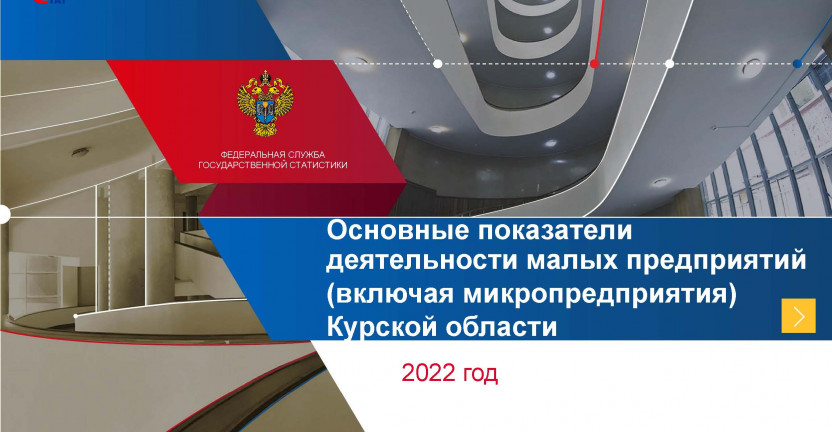 Основные показатели деятельности малых предприятий (включая микропредприятия) Курской области 2022 год